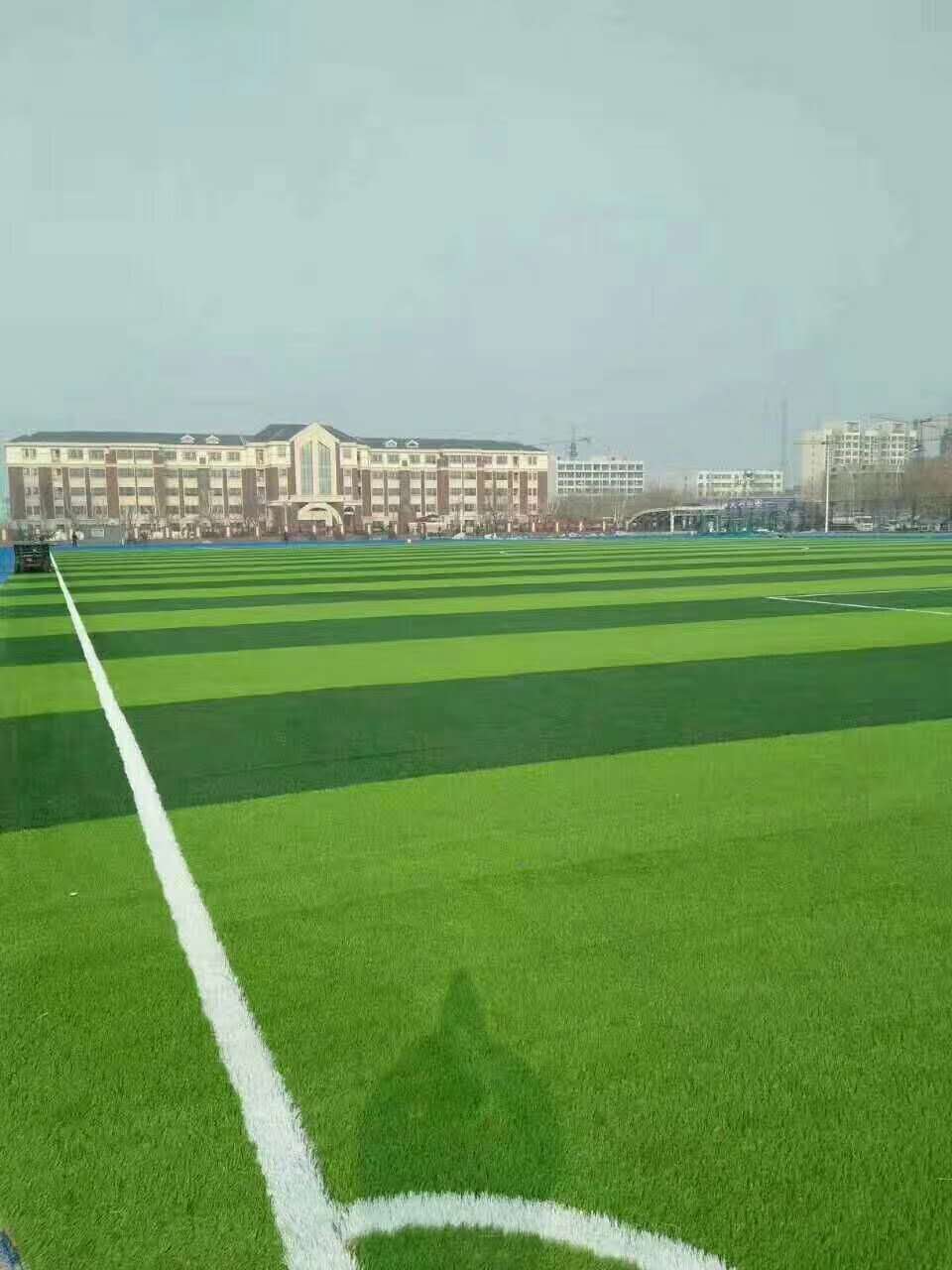 信阳市塑胶颗粒仿真草坪 - 厂家